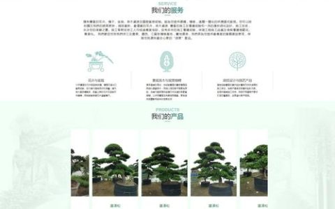 如何构建一个有效的苗木网站以促进制度建设？