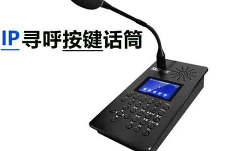 ip广播服务器在网络中扮演什么角色？