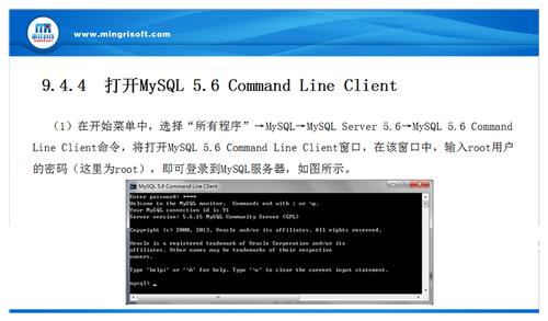 mysql界面操作_操作界面