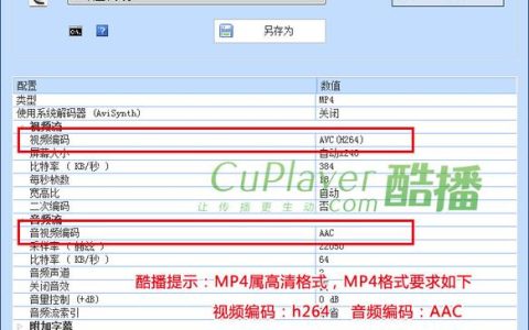 如何理解MP4监控文件播放器中的请求总数？