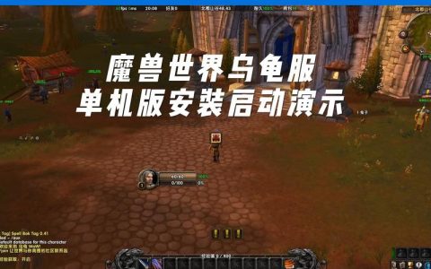 魔兽世界乌龟服四大服务器含义解析，究竟指的是什么？