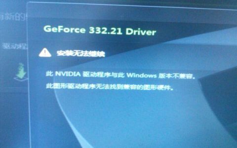 如何在安装操作系统时禁用显卡？