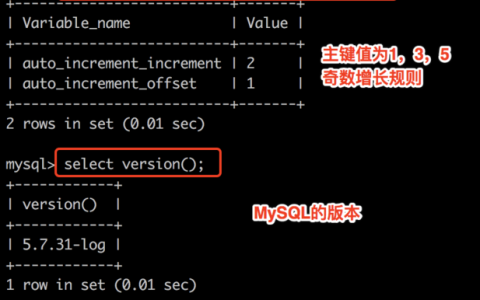 如何在MySQL中通过DDL实现数据库主键的自动增长？