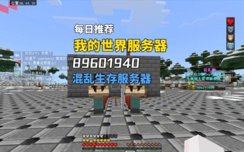 MC服务器的最佳游戏类型是什么？