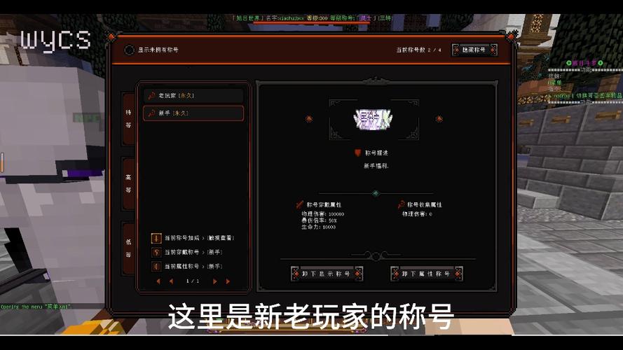 我的世界服务器bc是什么意思