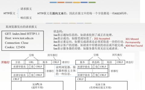 万维网服务器支持哪些关键网络协议？