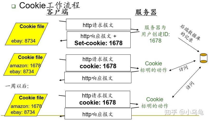 万维网服务器提供什么协议