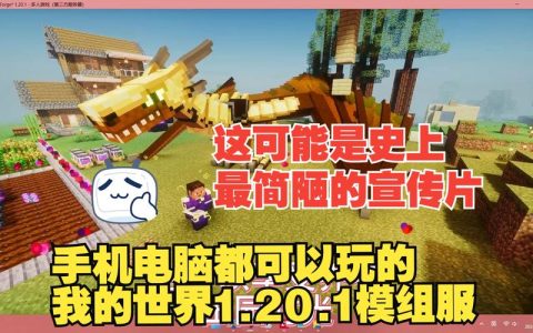 Minecraft的第一个官方服务器究竟是哪一个？