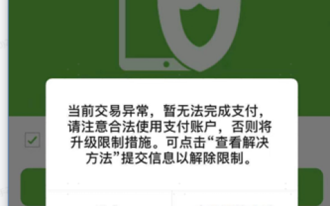 扫码支付时遇到服务器异常,可能是什么原因导致的?
