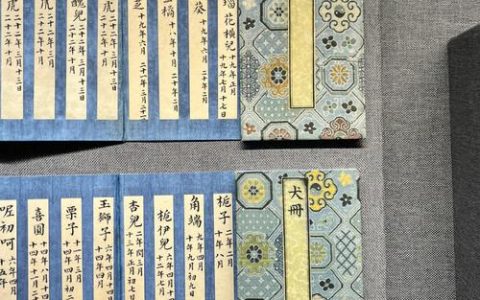 黑漫君的神秘服务器究竟被命名为何？