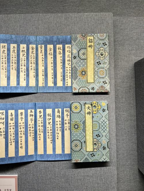 黑漫君的服务器名字叫什么