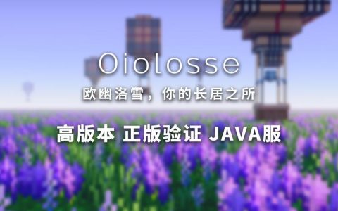 如何选择合适的软件来开设我的世界服务器？