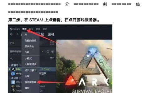 方舟手机版中ANZ服务器缩写代表什么意义？