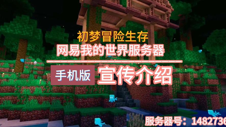 我的世界网易版速建在什么服务器