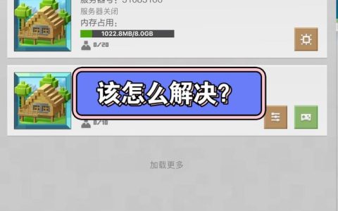 网易为何坚持不开放自定义服务器选项？