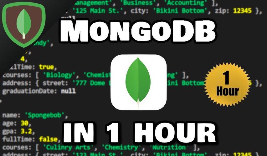 mongodb使用_使用MAS实现MongoDB容灾切换
