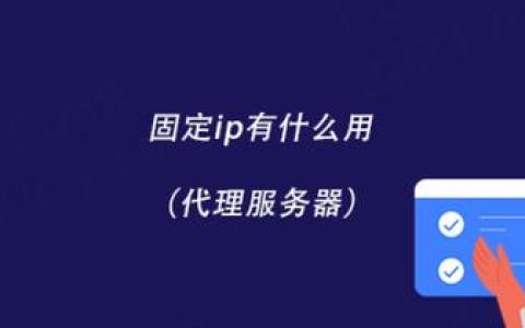 代理服务器IP地址的功能是什么？
