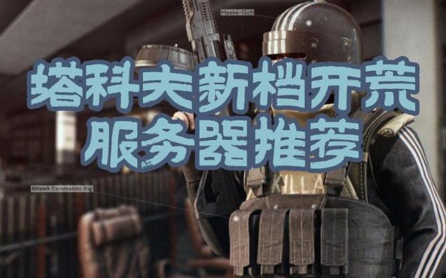 塔科夫美服务器叫什么名字