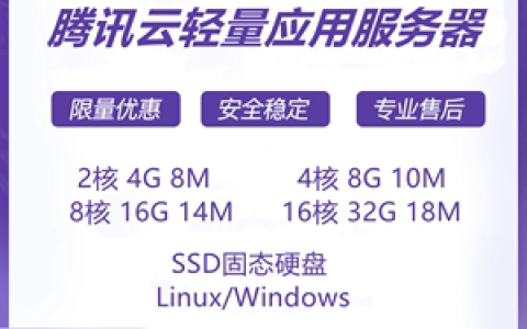 云服务器轻量应用型号有哪些特点和优势？
