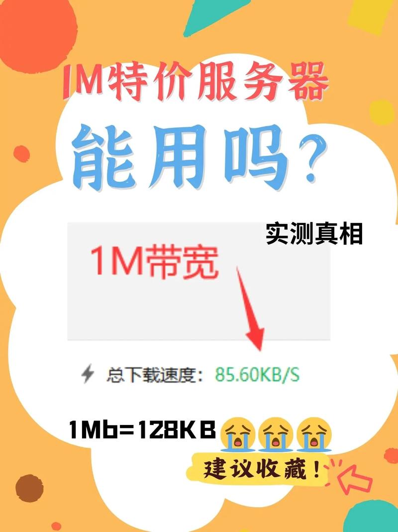 服务器1m带宽有什么用