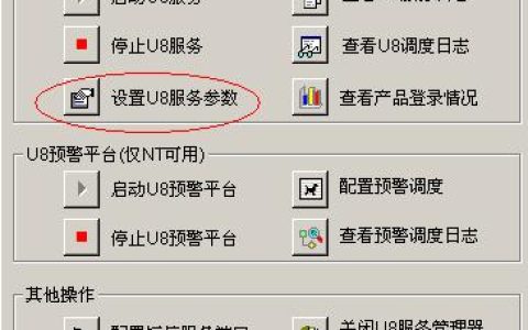 用友U8服务器具体指的是什么？