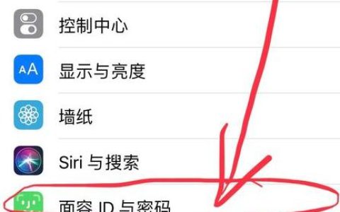 如何查找苹果xsmax的面部识别设置？