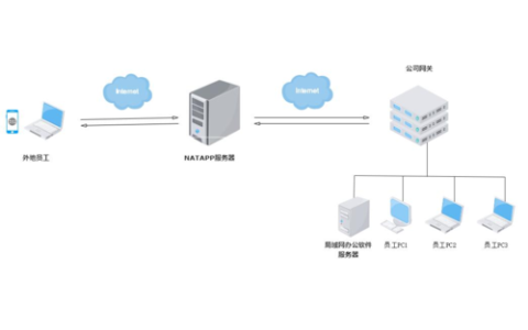 什么是frps穿透服务器及其用途？