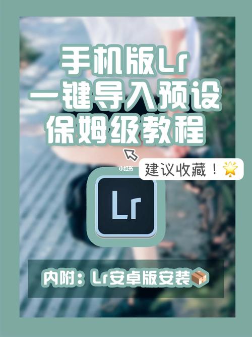 lr预设导入照片在哪里