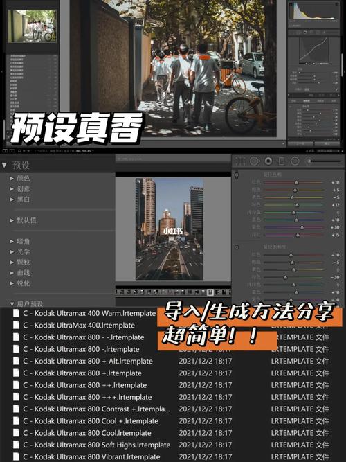 lr预设导入照片在哪里