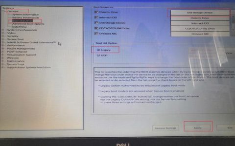 戴尔更新的BIOS设置选项在哪里可以找到？