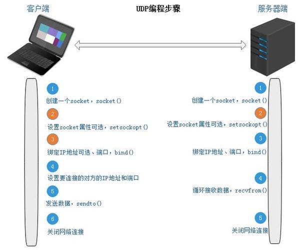 协议和服务器有什么区别