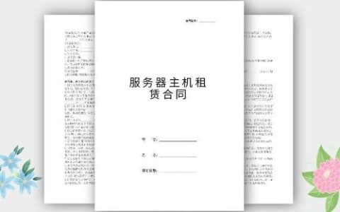 协议与服务器，它们在网络中扮演着怎样不同的角色？