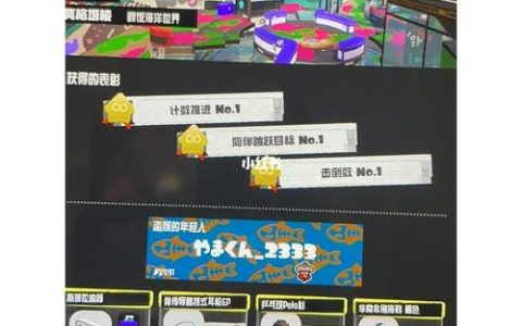 喷射战士3在大陆地区使用哪个服务器进行游戏？