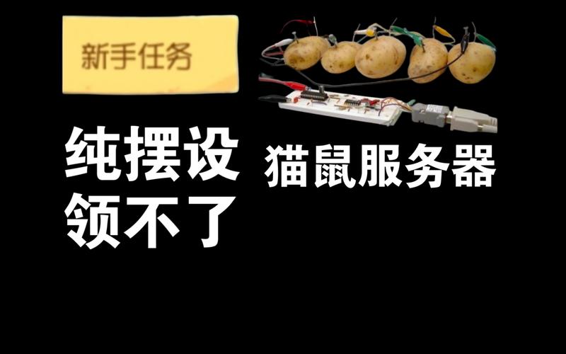 猫鼠填写服务器名是什么意思