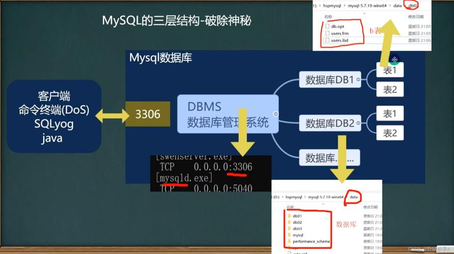 mysql 固定数据库_固定License