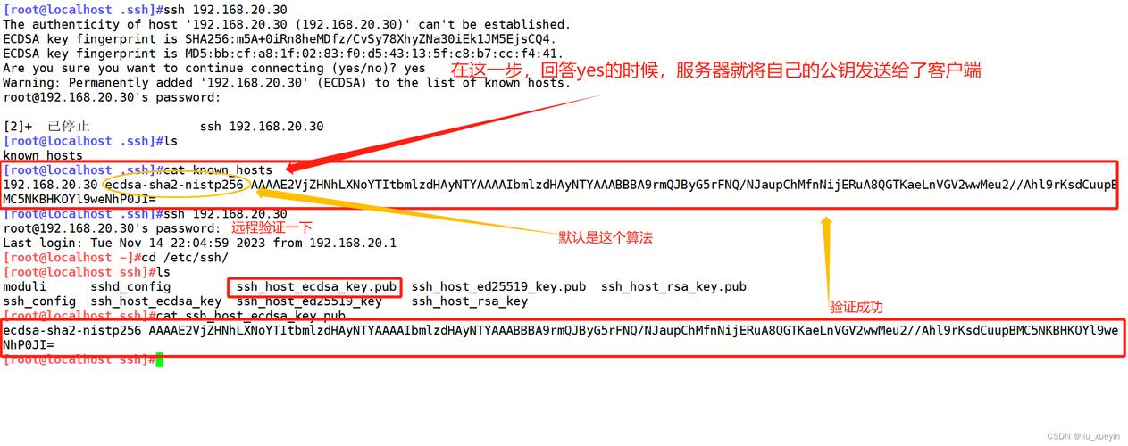 公钥与服务器不匹配什么意思