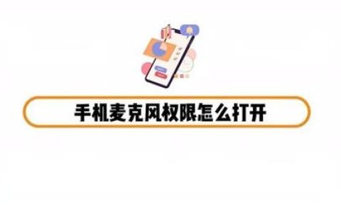 如何开启麦克风权限，一步步指导