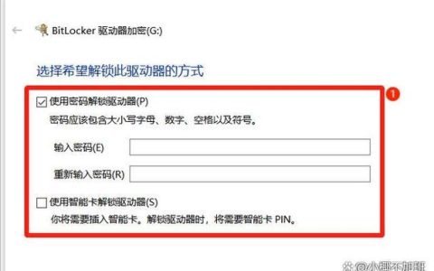 如何在电脑上为U盘设置密码锁定？