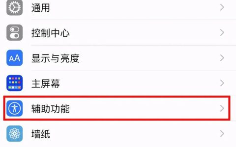 如何设置苹果设备的快捷启动功能?