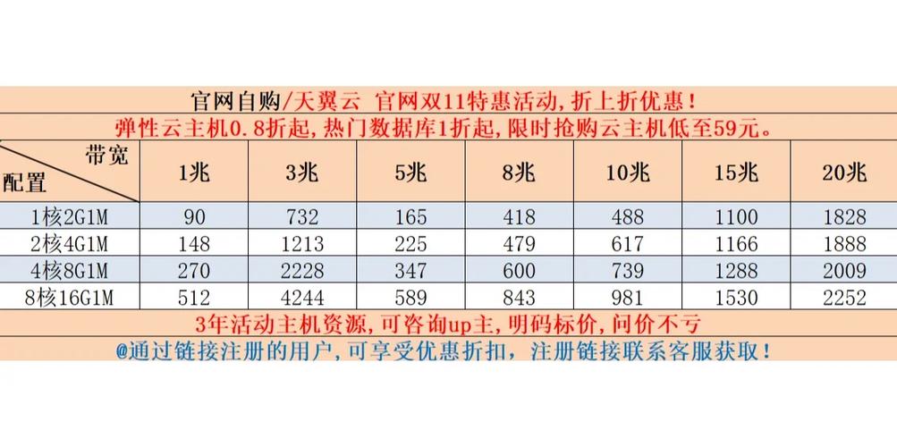 天翼云服务器采购网站是什么