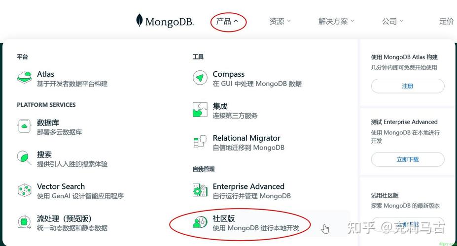 mongodb_MongoDB安装