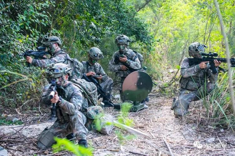 特种兵新服务器是什么名字