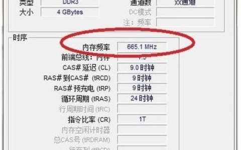 如何查看内存外观的频率？