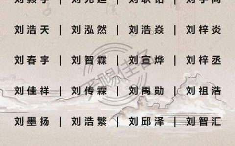 寻找完美名字，卖服务器的男孩该叫什么名字？