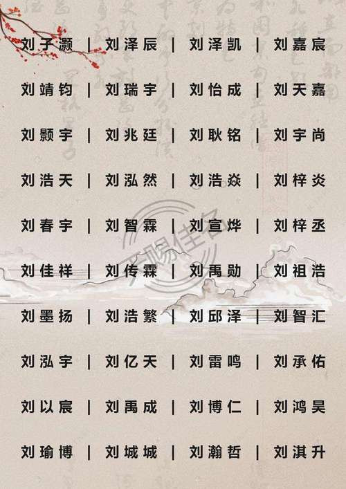 卖服务器的男孩叫什么名字好听