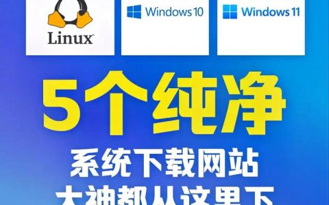 如何安全地获取纯净系统盘下载资源？