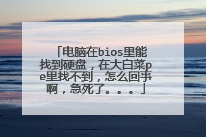 大白菜硬盘引导在哪里