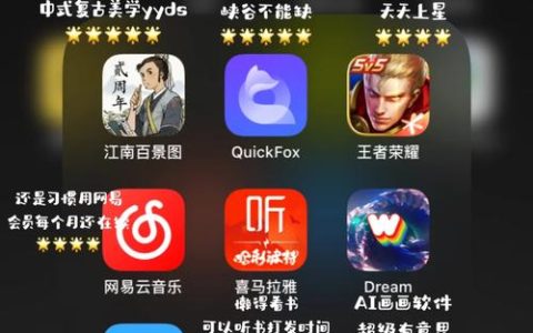 自闭症玩家专用的游戏服务器有何特别命名？
