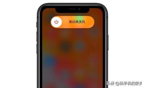 苹果12手机的关于本机信息如何查找？