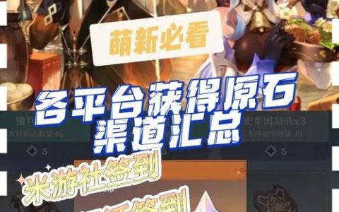 原神中提供原石的服务器有何特点？